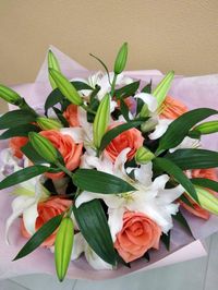 Купитьизумительные розыв СПбмелким оптом.