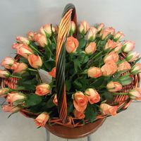 Чайные розы кения
