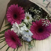 Купить цветы в спб оптом.