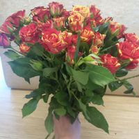 Кустовые розы Флеш Файр