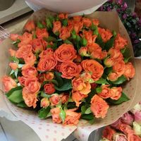 Кустовые розы Бэбе 60см