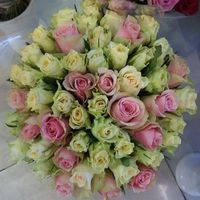 51 роза