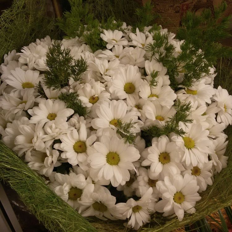 Букет “Ромашки”